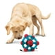 thumbnail image 5 of Dispensador KONG Tinker Mediano Grande para Perro, 5 of 5