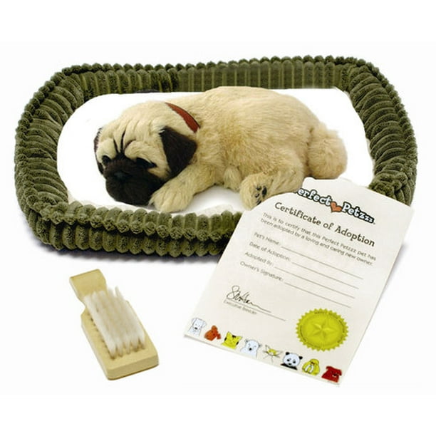 Perfect Petzzz Pug 43 With New Softer Body