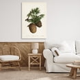 thumbnail image 4 of Stupell Industries Shabby Chic Cedar Tree Pinecones Canvas Art, 30 x 45, by Tina Higgins Designs Inc., 4 of 8