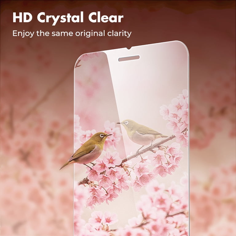 Tempered Glass Screen Protector for iPhone SE and iPhone 7/8 photo 5