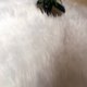 thumbnail image 4 of Falda de felpa con forma de árbol de Navidad y nieve | Funda para alfombra de piso base para decoraciones navideñas | Ideal para la decoración de alfombras navideñas para fiestas en el hogar, 78 cm, 4 of 8