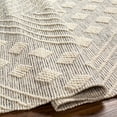 thumbnail image 5 of BoutiqueRugs DAMA Traditional, Transitional Area Rug - Ivory, Black - 27" x 45", 5 of 8
