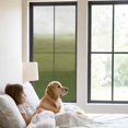 thumbnail image 3 of Sage Green Ombre Window Privacy Film, Modern Abstract Art Texture Static Cling UV Sun Blocking Tint Film Heat Control Windows Films for Bedroom Bathroom, Window Stickers 29.5"x78.7", 3 of 8