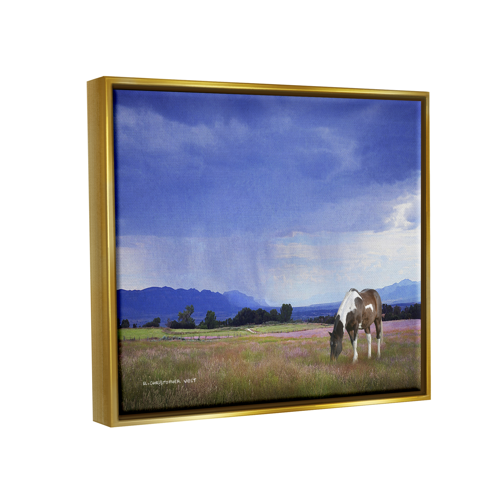 Stupell Spotted Horse Grazing Country Grassland Animals & Insects Photography Gold Floater Framed Art Print Wall Art