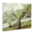thumbnail image 3 of Stupell Industries Vintage Gathering Blossoms Canvas Wall Art, design by Leah Straatsma, 24 x 30, 3 of 7