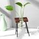 thumbnail image 5 of Marco de madera creativo florero planta hidropónica contenedor transparente decoración de escritorio Tmvgtek Oficina Multiescena Multifunción, 5 of 8