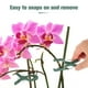 thumbnail image 3 of 50 pinzas para enderezar tallos de tomate, abrazaderas para Phalaenopsis, 3 of 8