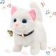 thumbnail image 1 of Walking Kitty Juguete de Felpa Gato Interactivo eléctrico Animal de Peluche Maullido Cola Meneando la Cabeza Asintiendo Gato Juguete para Mascotas Gatito Animado Cumpleaños para niños pequeños, 7.5 '', 1 of 3