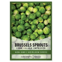 Long Island Improved Brussels Sprouts Seeds