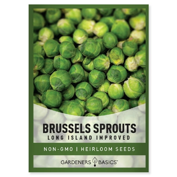 Long Island Improved Brussels Sprouts Seeds