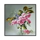 thumbnail image 2 of 11CT punto de cruz completo flor rosa contada DIY hilo de algodón costura arte de pared Hugtrwg Para estrenar, 2 of 9