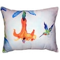 thumbnail image 1 of 16 x 20 in. Hummingbird & Trumpet Vine No Cord Pillow, 1 of 1