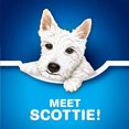 thumbnail image 3 of E-SCOTTIES SCOTTIES FT 6, 3 of 13