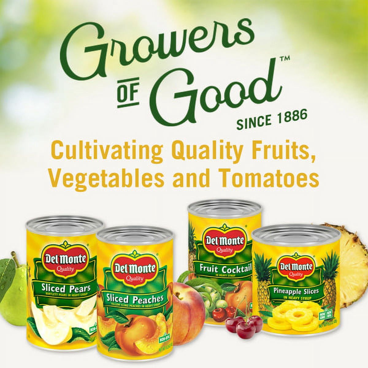Del Monte No Sugar Added Yellow Cling Sliced Peaches Canned Fruit 14.5 oz (Pack of 4)