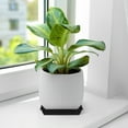 thumbnail image 3 of OFFIGAM Offigam Black Plastic Plant Trays Durable Soil Water Control for Daily Use, 3 of 6