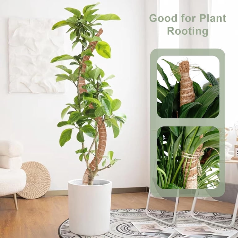 60 Inch Moss Pole for Plants, Bendable Moss Pole for Plants Monstera, Tall  Moss Poles for Climbing Plants Indoor, LargeSupport, Garden Trellis Stick  ...