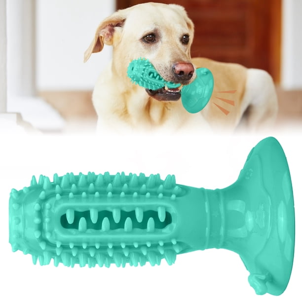 Cepillo de Dientos de Mascotas de Mascota, Cepillo de Dientes de Goma de Mascota Cepillo de Dientes de Limpieza Oral de Mascota Cepillo de Succión Fijo para el Abrenamiento de