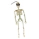 thumbnail image 4 of Esqueleto móvil, esqueleto de Halloween para colgar en el árbol, accesorio fotográfico de cuerpo entero de payaso Nariz roja, 4 of 9