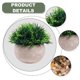 thumbnail image 3 of Mini plantas artificiales, césped verde falso de plástico, baño, oficina en casa, decoración de interiores, 3 of 5