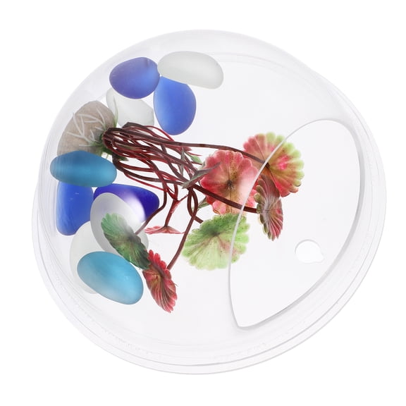 BESTYASH On The Wall Hanging Fish Tanks 1Pcs 5.9In Diameter