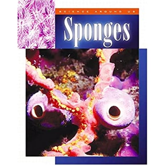 Pre-Owned Sponges (Hardcover) 9781592962747