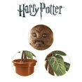 thumbnail image 4 of The Noble Collection Interactive Plush Harry Potter Mandrake - 10 Inch Electronic Companion, 4 of 5