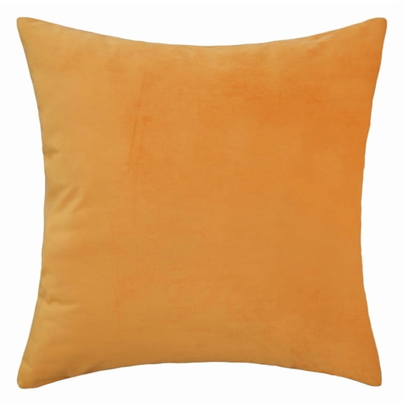 Dtwnek Set of 1 Soft Velvet Square Solid Color Decorative Throw Pillow Covers for Sofa Bedroom Car, 24" x 24"
