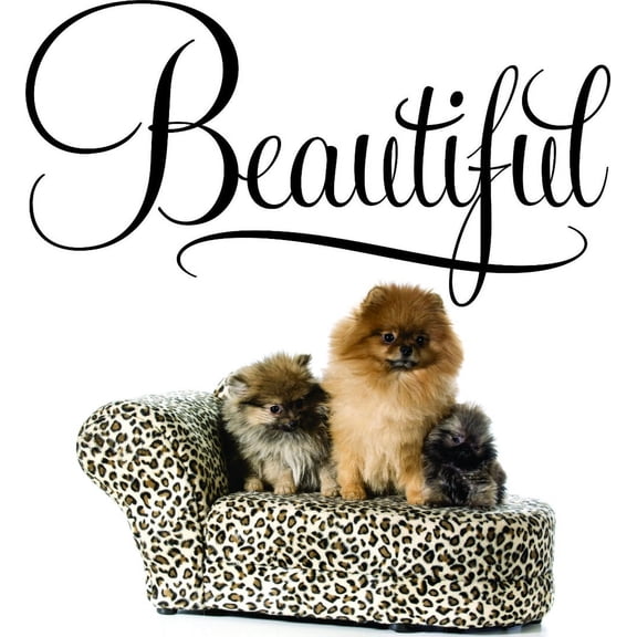 Custom Wall Decal Sticker : Beautiful Sign Kids Girl Teen 14x28"