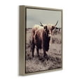 thumbnail image 3 of Stupell Industries Farm Cattle Rustic Vintage Styling Animals & Insects Painting Brown Floater Framed Canvas Art Print Wall Art, 25 x 25, 3 of 9