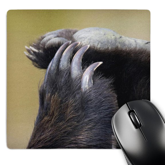 3dRose, Grizzly Bear Paws and Claws - US02 JGS0037 - Jim Goldstein, MousePad