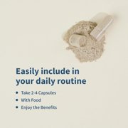 Snap Supplements Sleep Support with Melatonin and Valerian Root, 120 Capsules, 2-Pack, Easy-to-Use Capsule Format, For complex supports relaxation and restful sleep support, Nighttime support