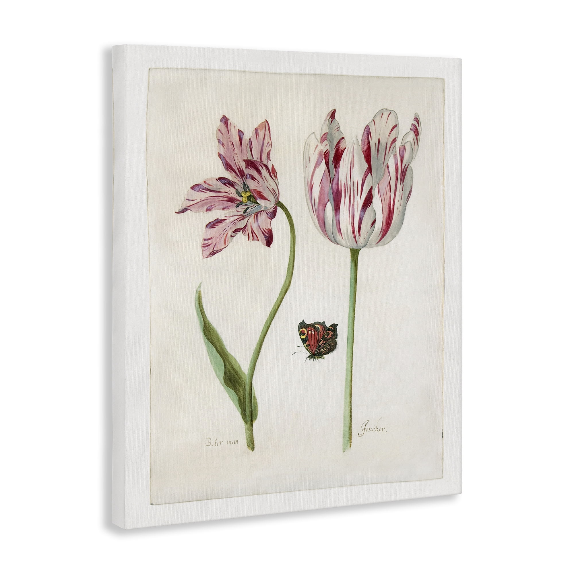 Stupell Industries Classic Tulip & Butterfly Plants & Flowers Painting Wrapped Canvas Art Print Wall Art, 16 x 20