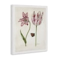 thumbnail image 4 of Stupell Industries Classic Tulip & Butterfly Plants & Flowers Painting Wrapped Canvas Art Print Wall Art, 16 x 20, 4 of 8