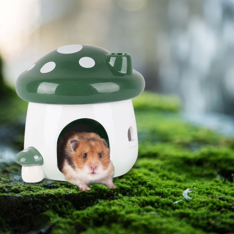 Dwarf Hamster Habitat Mushroom Hamster House - Wooden Hideout Habitat ...