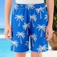 thumbnail image 2 of JAJAHO Boys Summer Beach Shorts Breathable Mesh Loose Fit Straight Leg Casual Elastic Waist Running Shorts For Kids 2-14Y Holiday Beachwear, 2 of 4