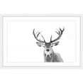thumbnail image 2 of Marmont Hill "Majestic Antlers" Framed Painting Print, 2 of 4