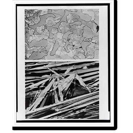 Historic Print, [Composite photograph of sex hormones for women (top) and men (bottom)], 16" x 20"