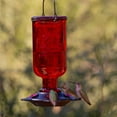 thumbnail image 3 of More Birds Elixir Hummingbird Feeder - 13 oz. capacity, 3 of 6