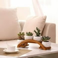thumbnail image 2 of 4 Pack Ceramic White Succulent Plant Pot with Bamboo Arched Tray, Mini Cactus Planter Flower Pot for Garden Kitchen Home Office Desk Decorations (No Plants Included), 2 of 7