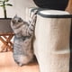 thumbnail image 2 of Rascador para Gatos - Protector para Esquina de sofá o sillón - Afilador de uñas de sisal para Mascotas - para el Lado Derecho en Gris, 2 of 8