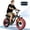 Black, variant on ESKUTE V201D Electric Bike for Adults & Teens, 749W, 28MPH, 48V 15.6Ah Battery, 20"x4.0" Fat Tire Ebike, 7-Speed , Front Suspension, All-Terrain Electric Bicycle Black, UL2849