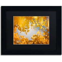 Trademark Fine Art "Ginkgophytes" Canvas Art by Philippe Sainte-Laudy Black Matte, Black Frame