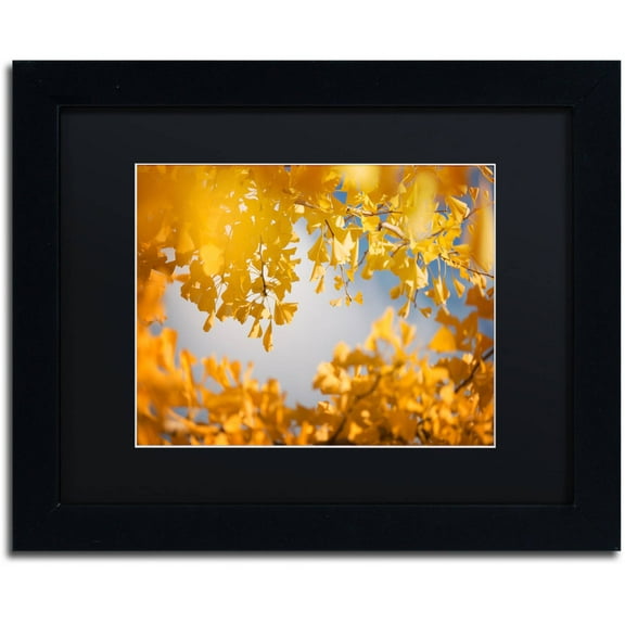 Trademark Fine Art "Ginkgophytes" Canvas Art by Philippe Sainte-Laudy Black Matte, Black Frame