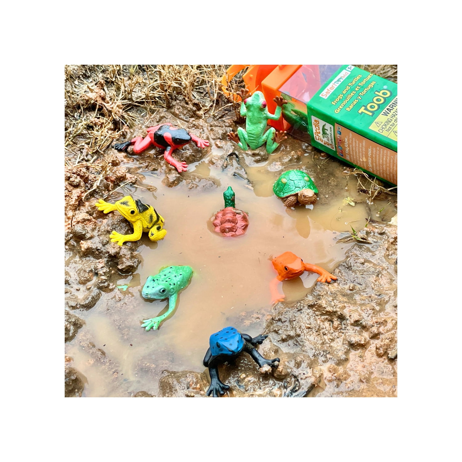 Teal Tadpole様 リクエスト 2点 まとめ商品 Tad-Pool - Bright Green Cup Set