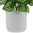 thumbnail image 6 of Northlight Artificial Watermelon Peperomia Plant in Pot - 6.5", 6 of 6