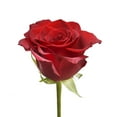 thumbnail image 4 of Love You More Rose Bouquet - Farm Farm Direct Fresh Cut Flowers Roses - Red, Pink 1 Pack - by Bloomingmore, 4 of 8