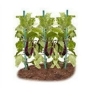 EcoStake Garden Stakes for Plants Vegetable Fence Post 1/4x48, Pack of 40 Fiberglass Stakes Tree/Cucumber/Tomato/Bean Pole Stake Rust-free