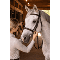thumbnail image 5 of Horse Professional's Choice 31/4" Loose Ring 5 1/4" Chain Mouth Horse Bit 35570, 5 of 5