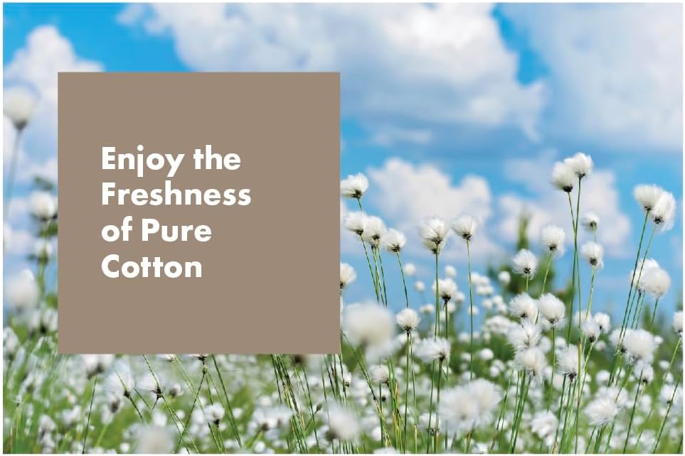 Arm & Hammer Plug-in Scented Oil Air Freshener Refill, Pure Cotton, 3.55 fl oz, 5-Pack