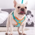 thumbnail image 3 of Typpkmm New Style Pet Dog Chest Strap Small Breed Anti, 3 of 7